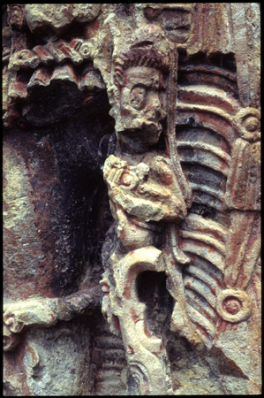 copan-15.jpg