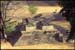 copan-02.jpg
