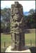 copan-09.jpg