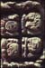 copan-10.jpg