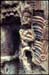 copan-15.jpg