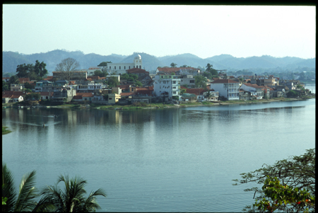 flores-02.jpg