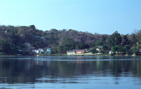 flores-03.jpg