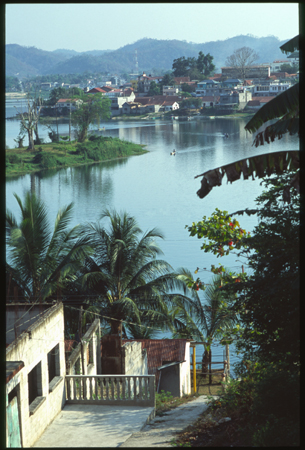 flores-05.jpg
