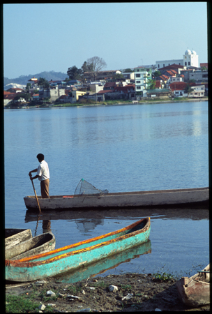 flores-06.jpg