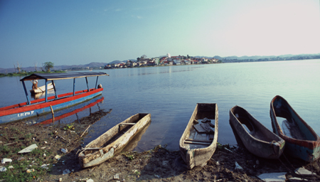 flores-07.jpg
