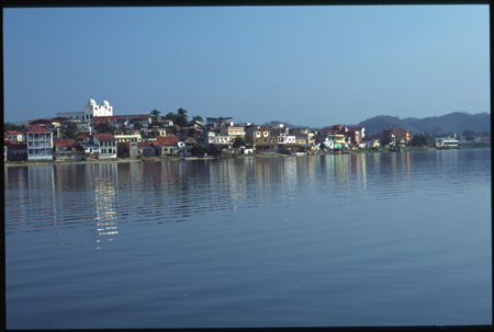 flores-09.jpg