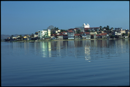 flores-10.jpg