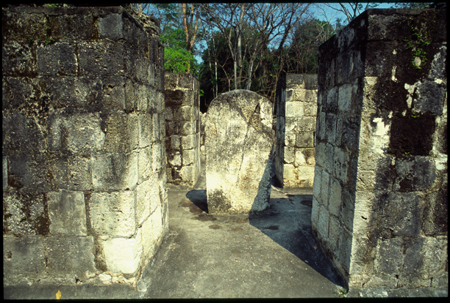 ceibal-02.jpg