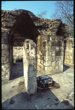 ceibal-03.jpg