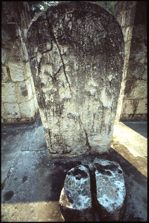 ceibal-04.jpg