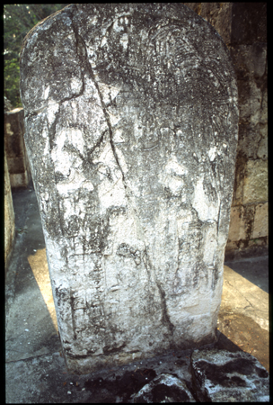 ceibal-05.jpg