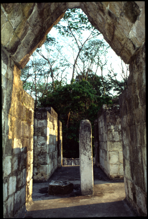 ceibal-06.jpg