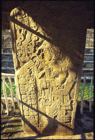 ceibal-08.jpg