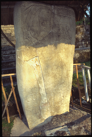 ceibal-09.jpg