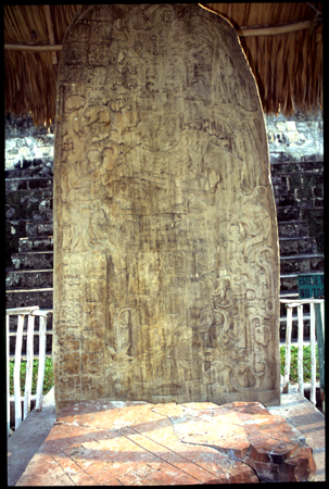 ceibal-10.jpg