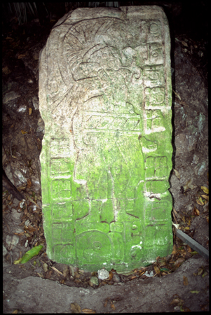 ceibal-12.jpg