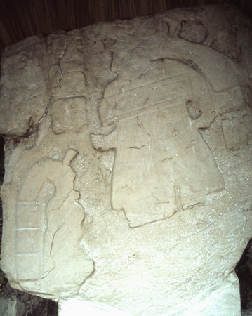 ceibal-13.jpg