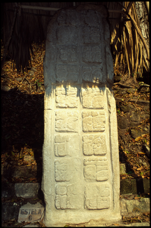 ceibal-14.jpg