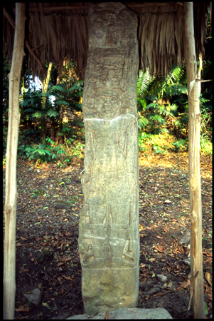 ceibal-16.jpg
