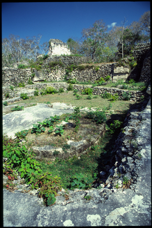 uauxactun-10.jpg