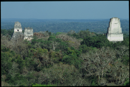 tikal-01.jpg