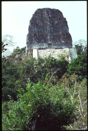 tikal-33.jpg