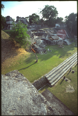 tikal-34.jpg