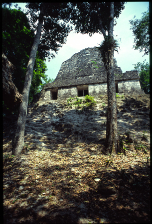 tikal-47.jpg