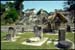 guatemala - tikal - tikal-08.jpg