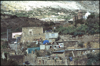 catorce-18.jpg