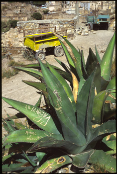 catorce-23.jpg