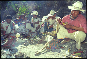 huichol-01.jpg