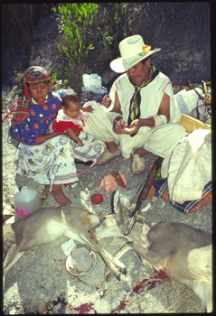 huichol-02.jpg
