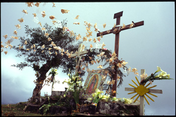huautla-11.jpg