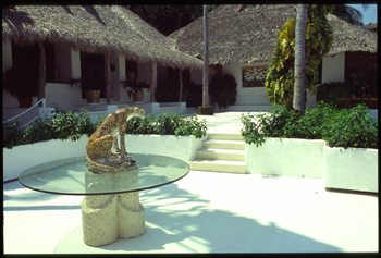 acapulco-11.jpg