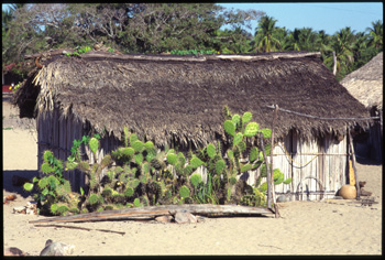 chacahua-04.jpg