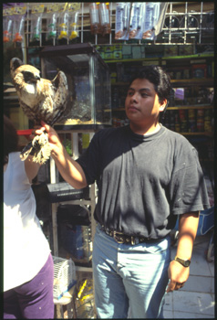 mexico-44.jpg