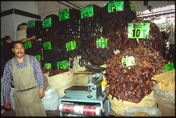 mexico-46.jpg