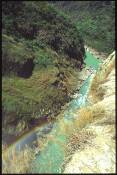 tamul-06.jpg
