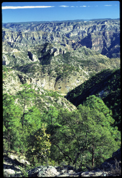 tarahumara-03.jpg
