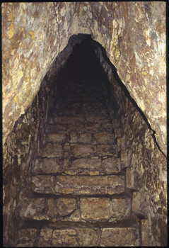 palenque-11.jpg