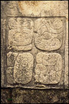 palenque-40.jpg
