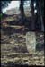 yaxchilan-13.jpg