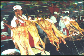 aguascalientes-08.jpg