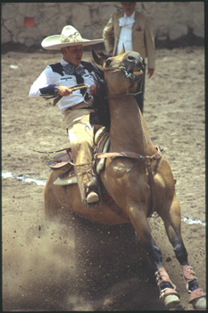 aguascalientes-21.jpg
