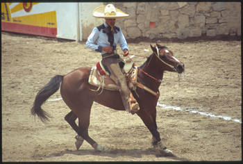 aguascalientes-23.jpg