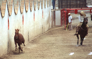 aguascalientes-25.jpg