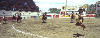 aguascalientes-29.jpg