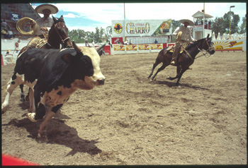 aguascalientes-35.jpg